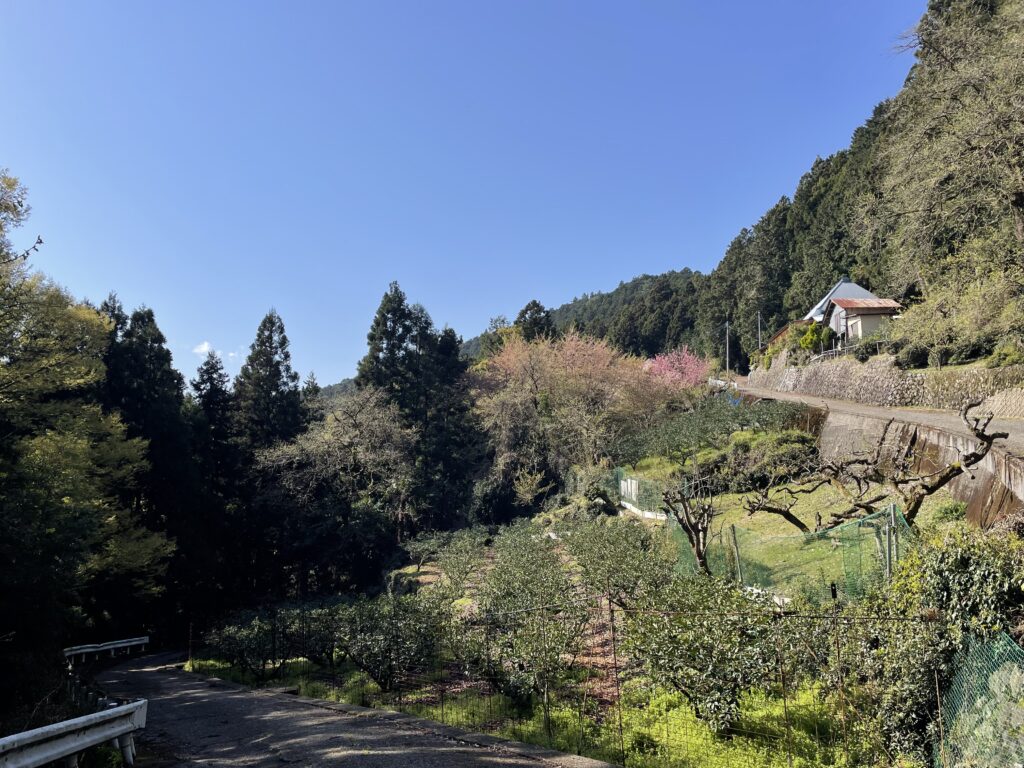 玉ケ峠を経て一番最初の民家