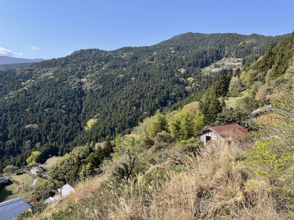 峠の方を振り返る