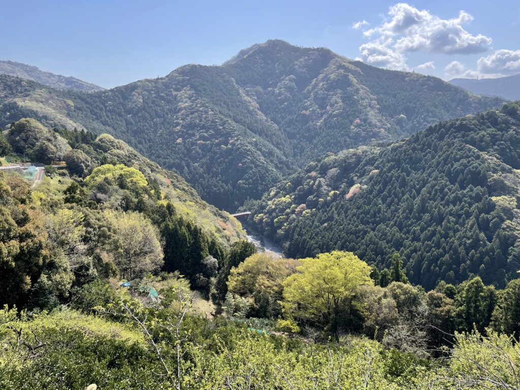 鮎喰川に向かって切れ込むように落ちる稜線