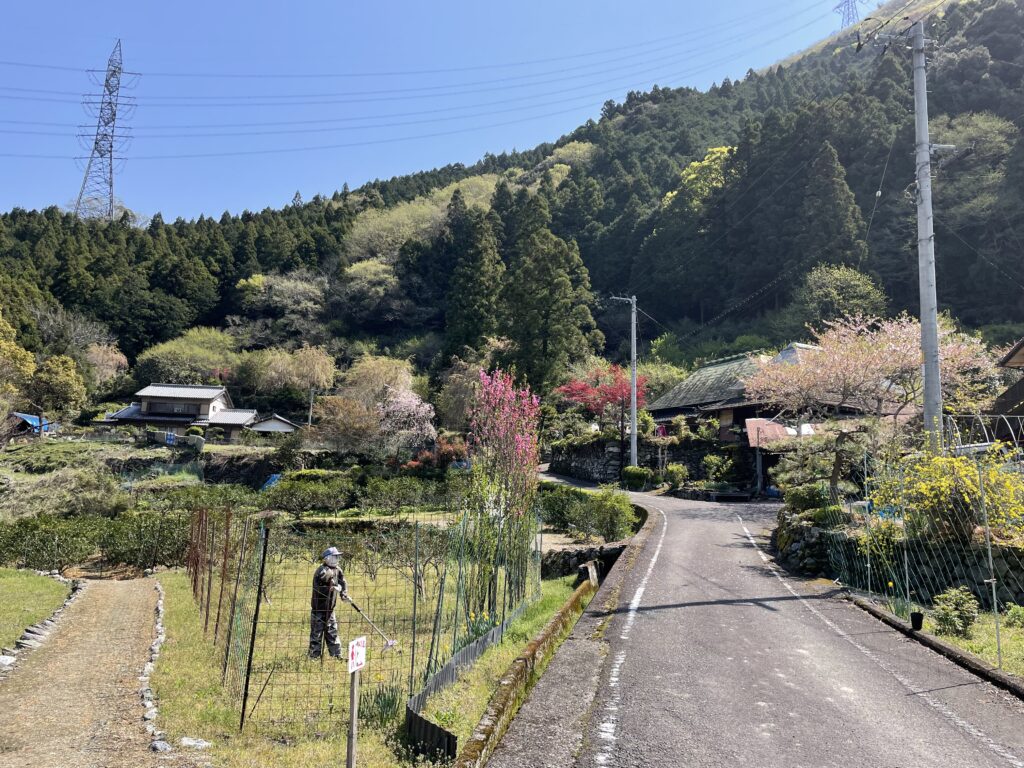 農作業をするかかし