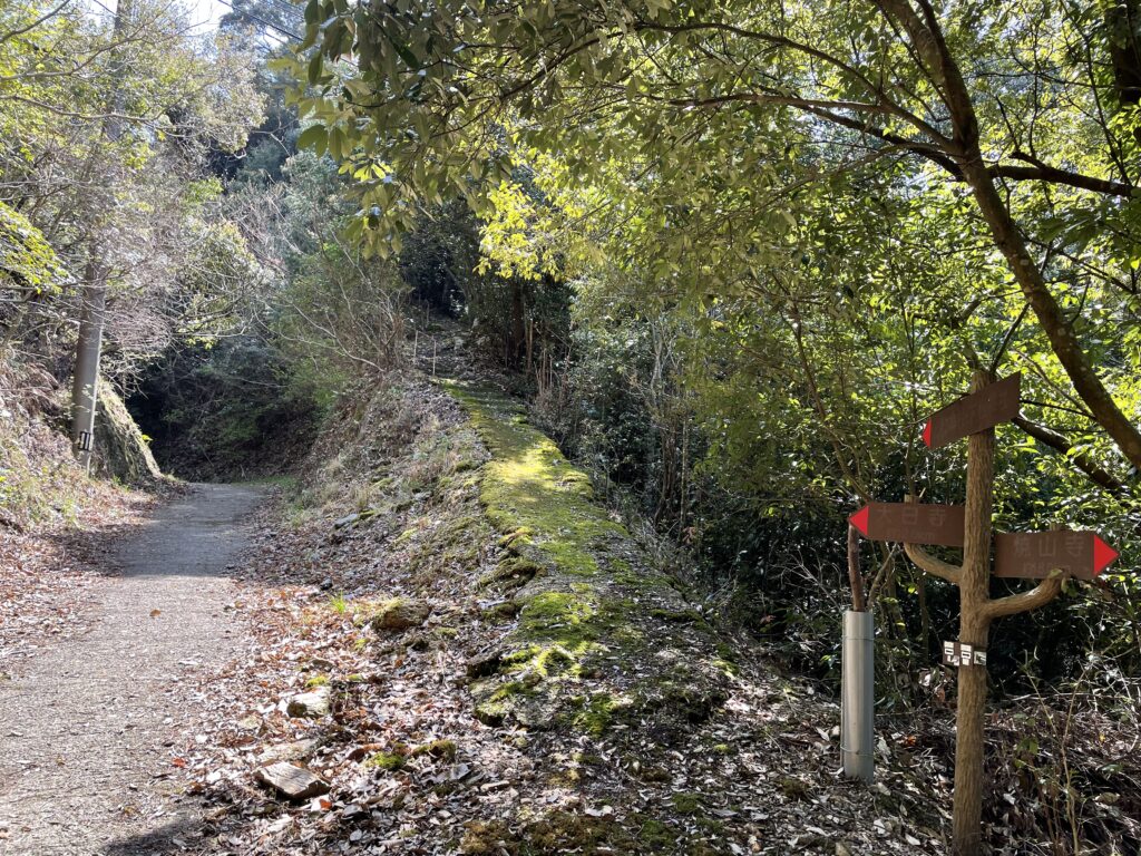 地元の神社の参道との分岐