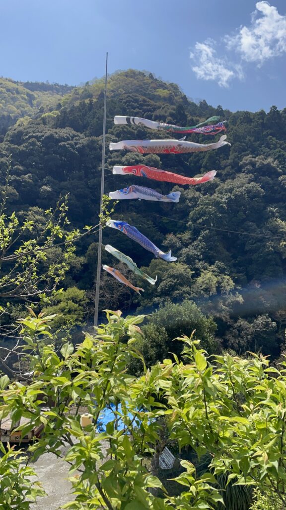 元気に泳ぐ鯉のぼり