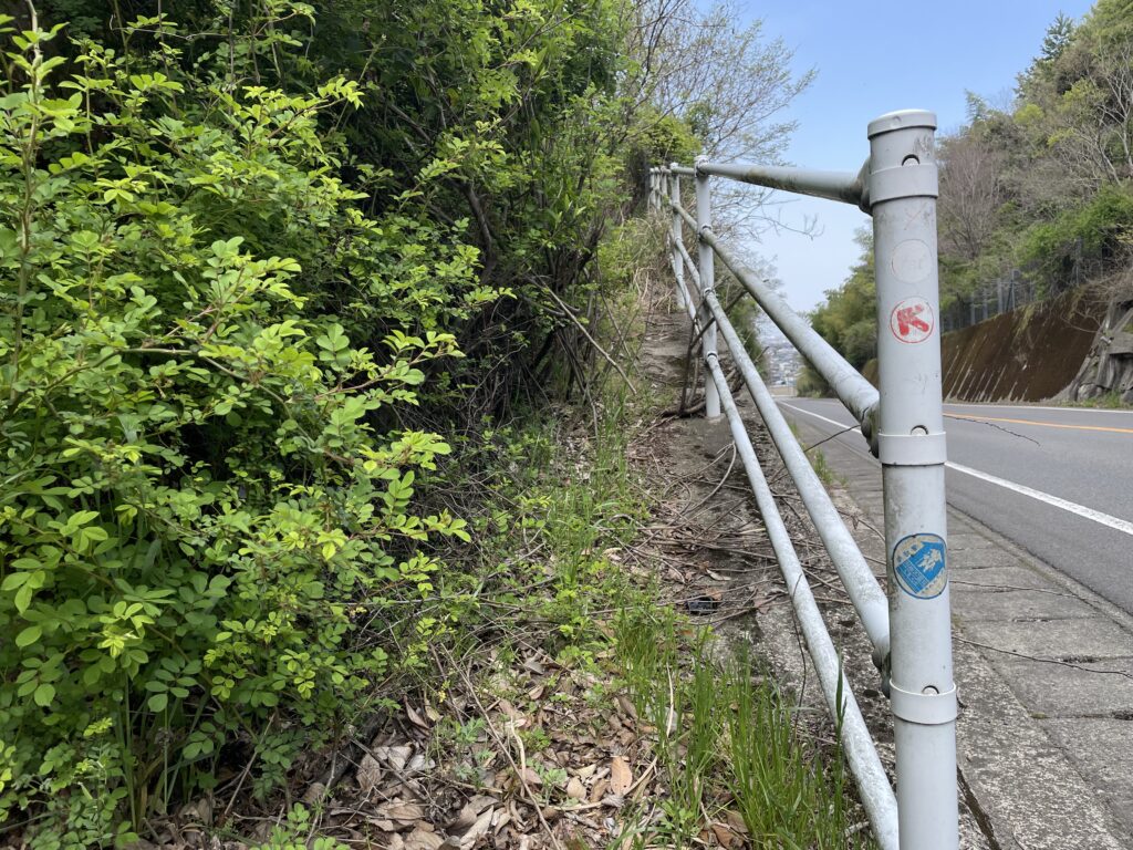 左の道は藪の中へ…