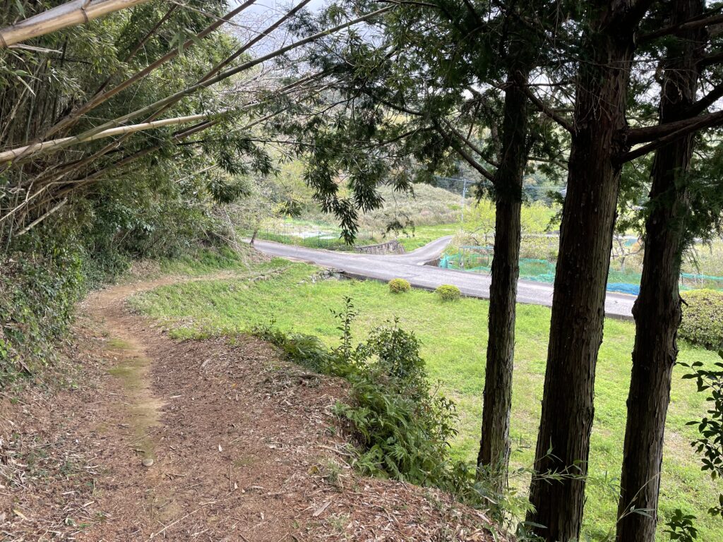 竹林を抜ける近道