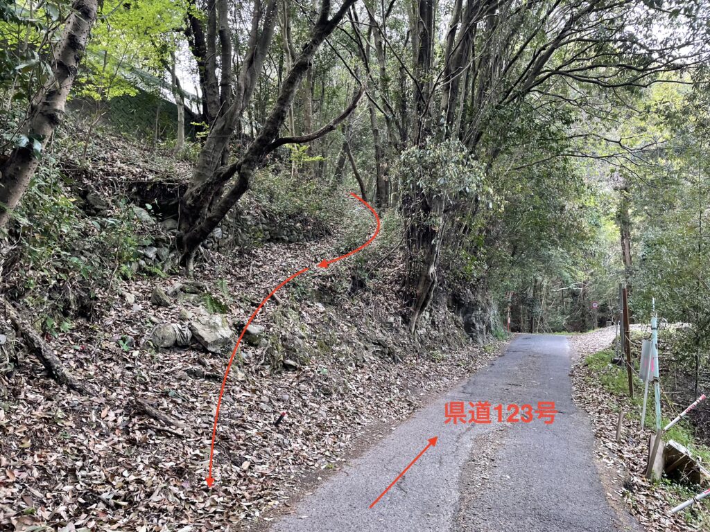 ショートカット道を下から見上げたところ