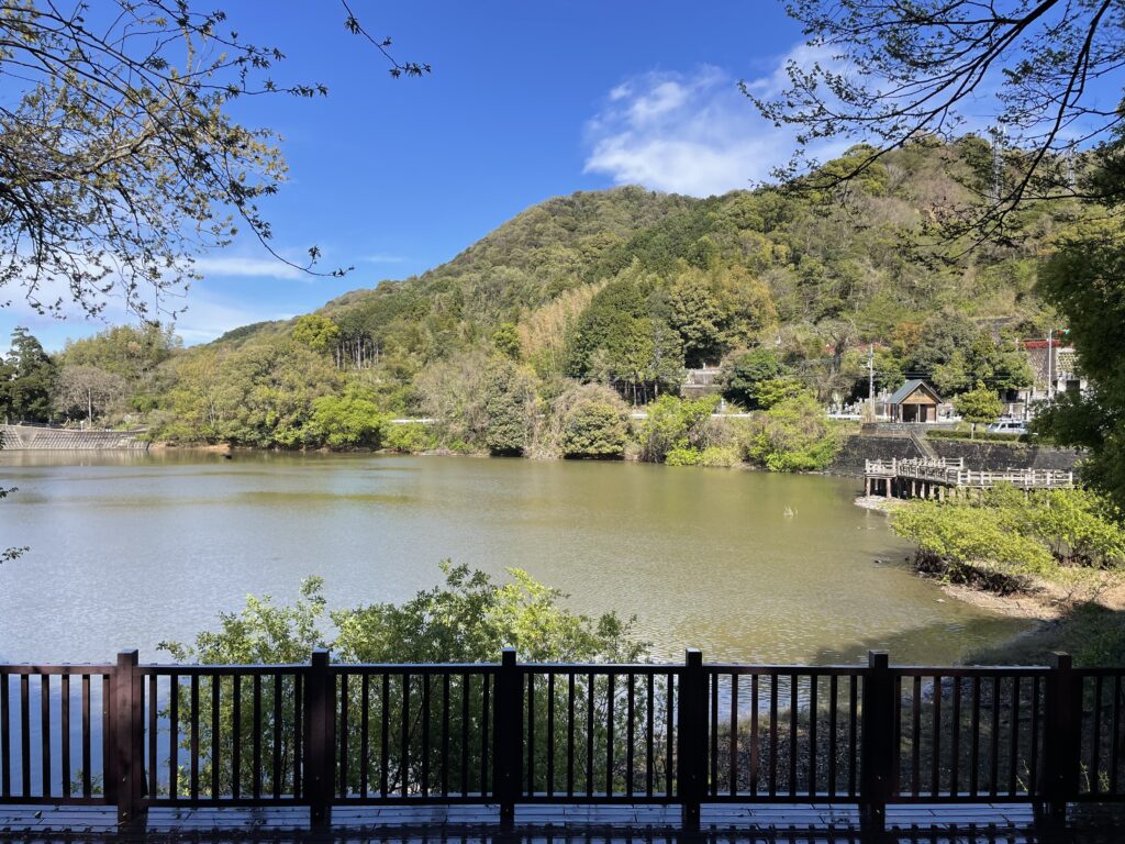 地蔵院池の遊歩道