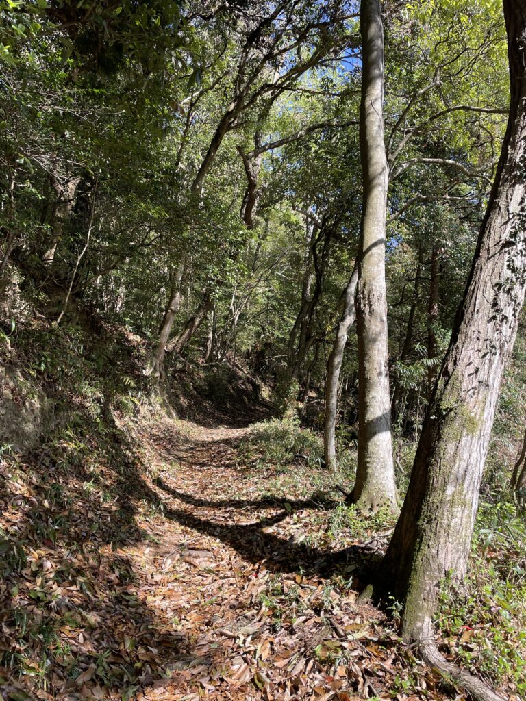 明るくてなだらかな道