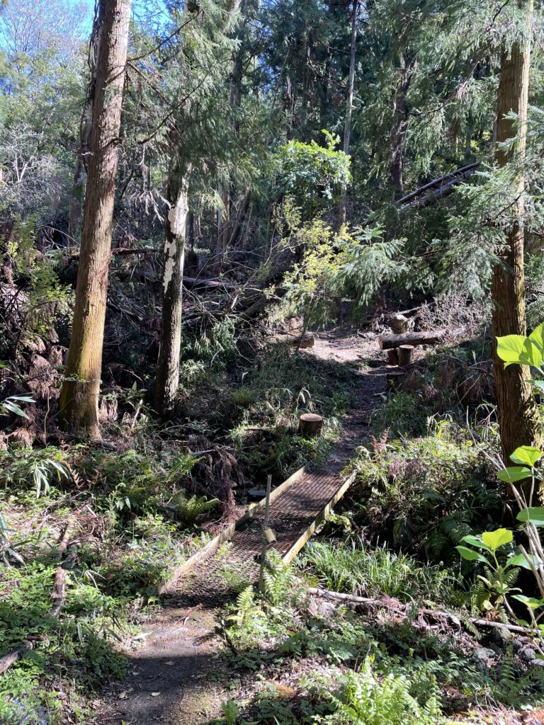 下が透けて見える橋