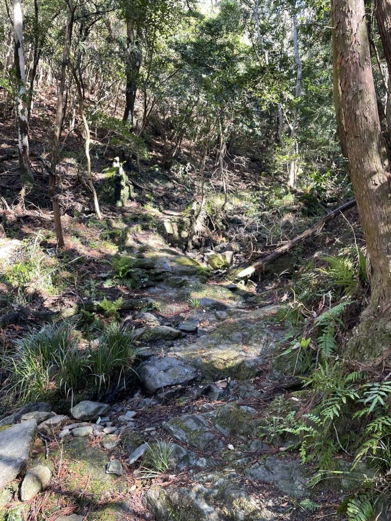 突如現れる急傾斜