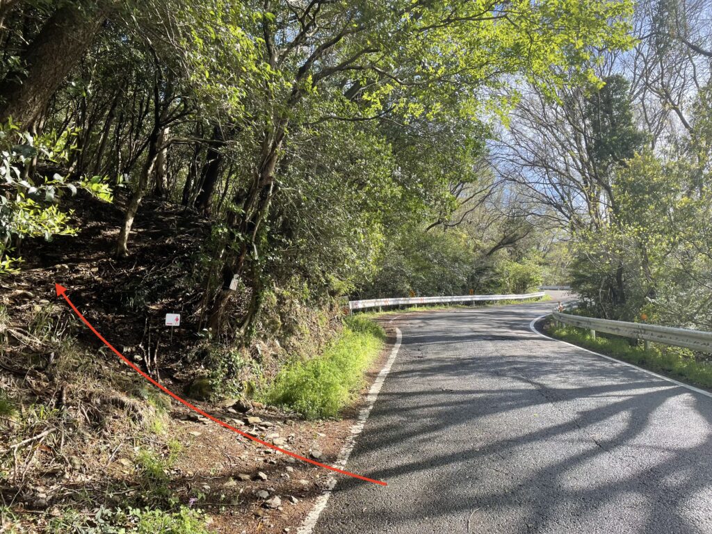 再び山道に入る道しるべ