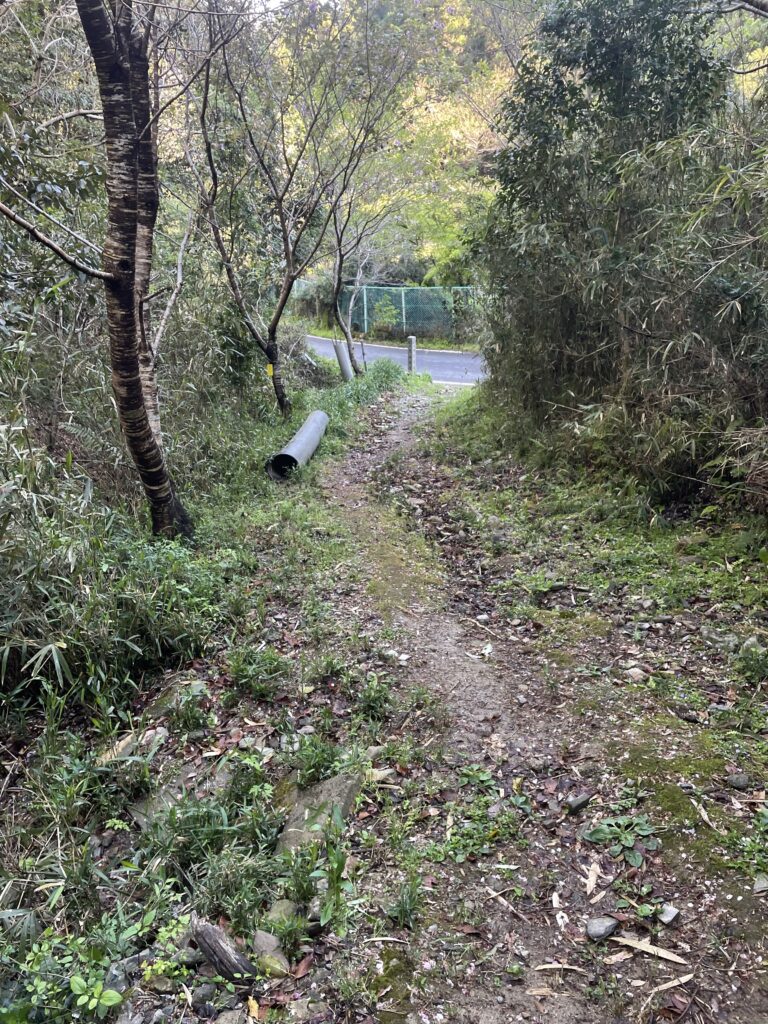 やっと車道へ降りた