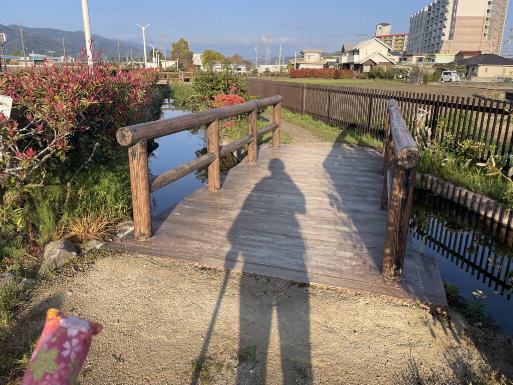 自分の影を見つめて