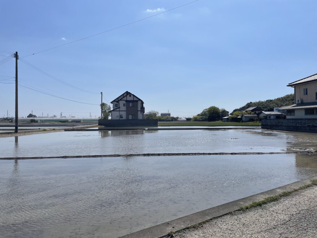 代掻きを終えた水田