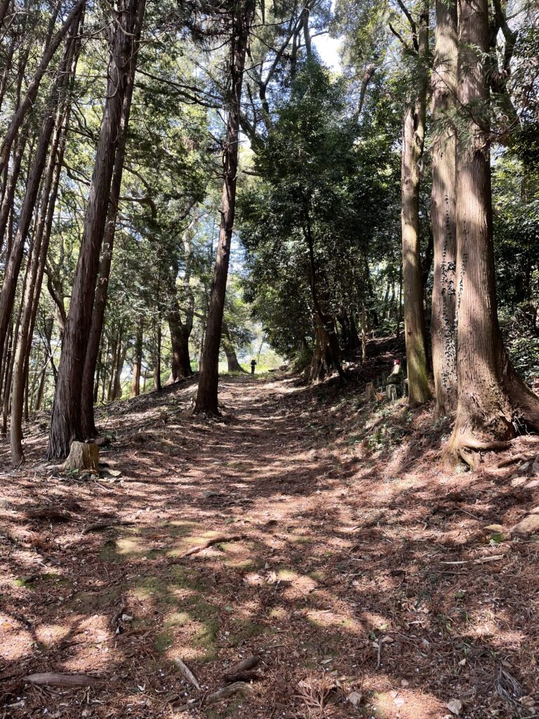 若者はすぐ見えなくなった