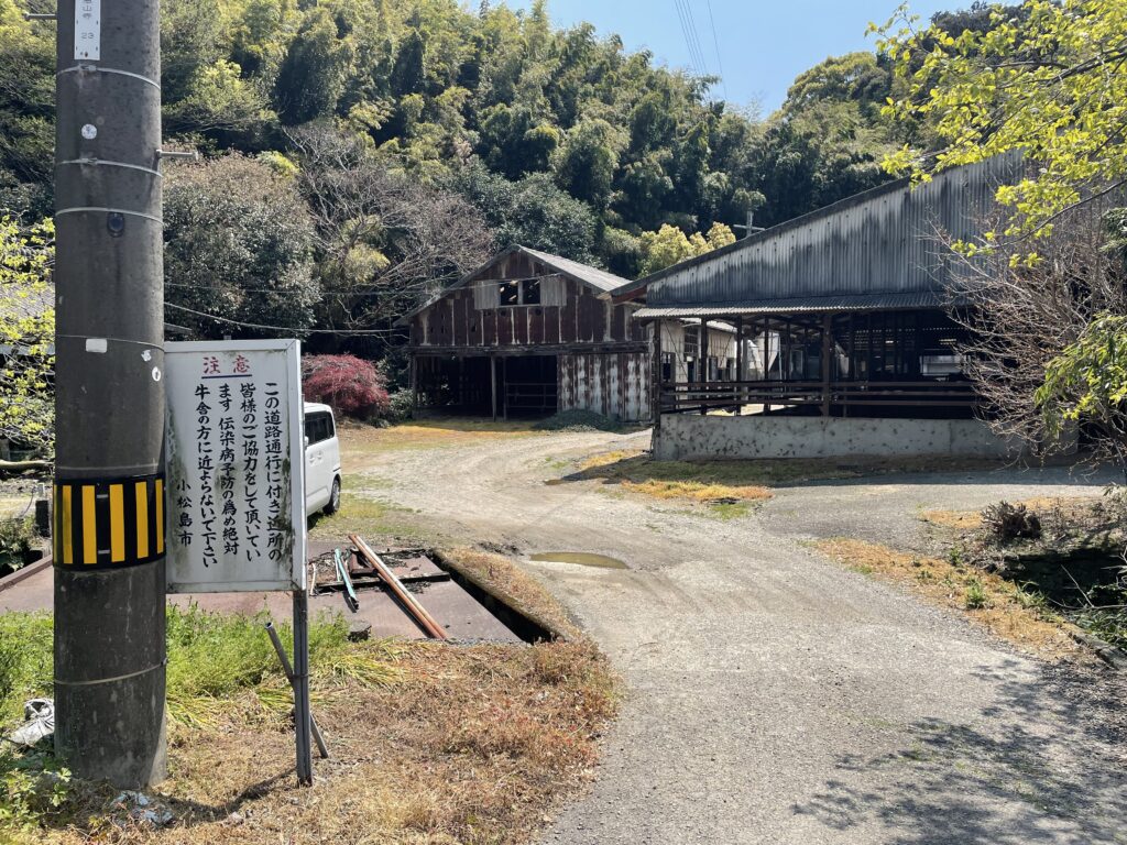 牛舎の前を通る