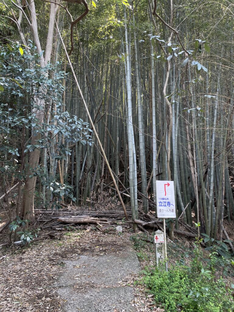 竹林への入口