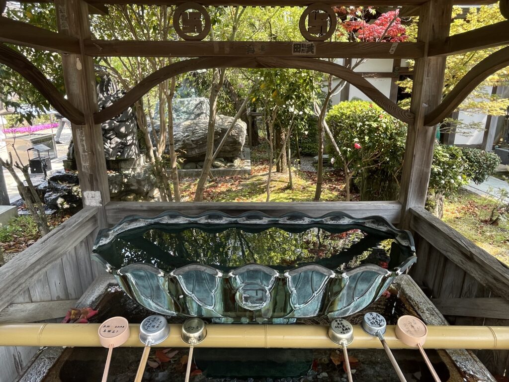 新緑が映り込む手水鉢