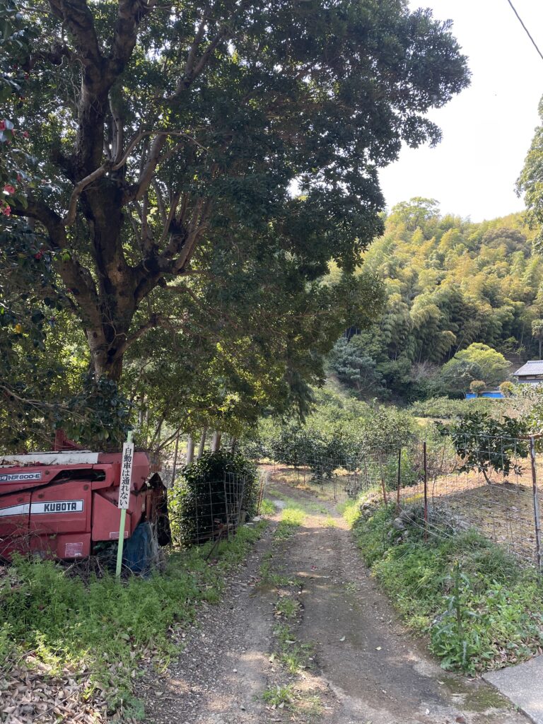 だんだん細くなっていく道