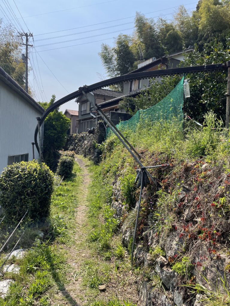 みかんトロッコのレール