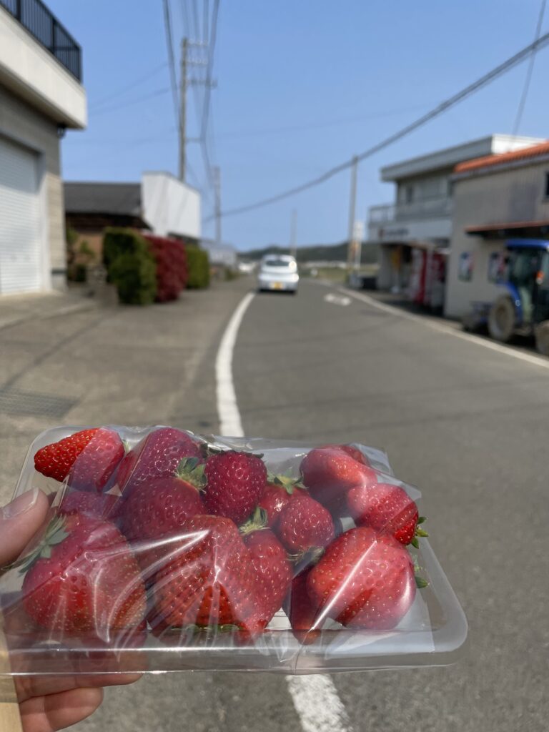 苺をいただいた