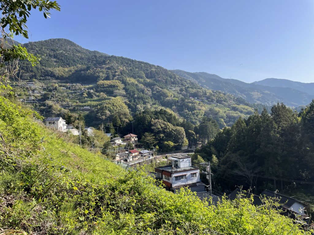 坂本の集落を見下ろす