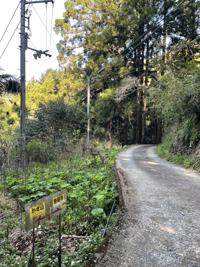 「かせ山」との分岐