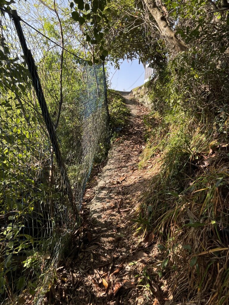 フェンス沿いの急坂を登る