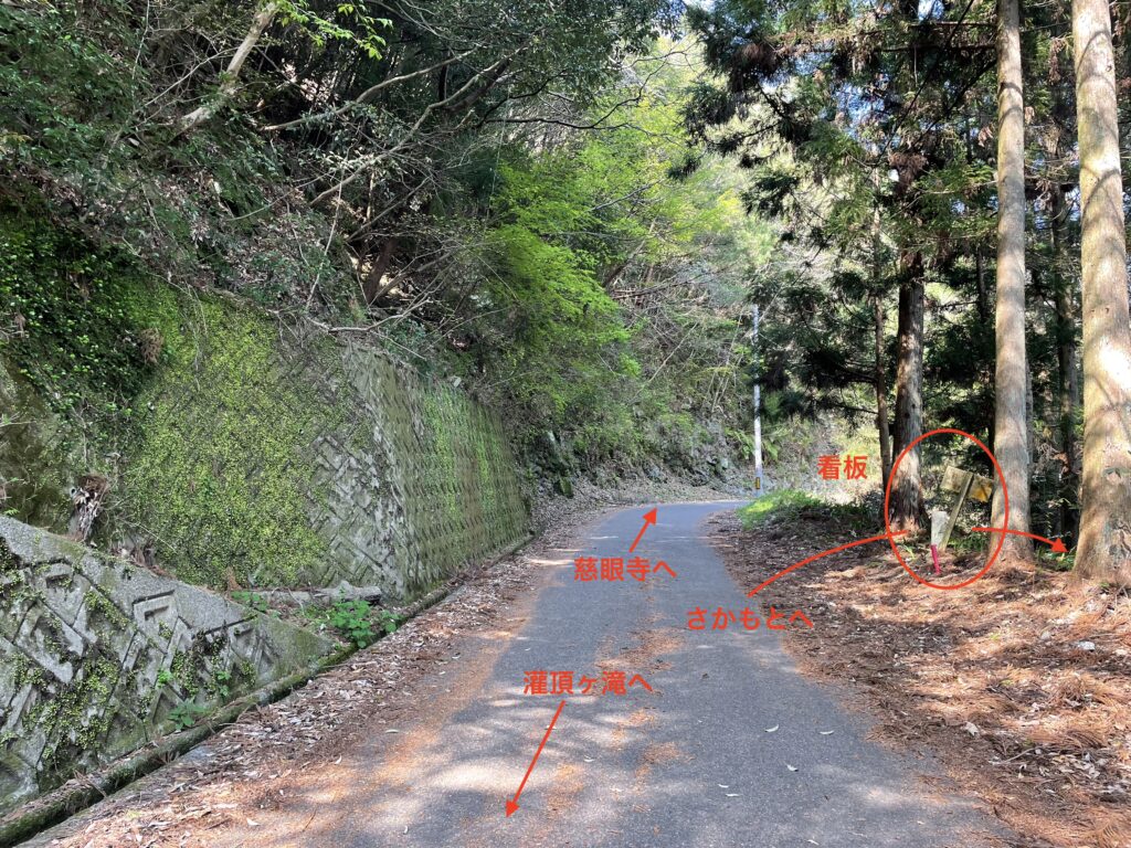 山道への分岐