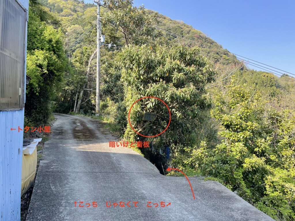 確認ポイント①