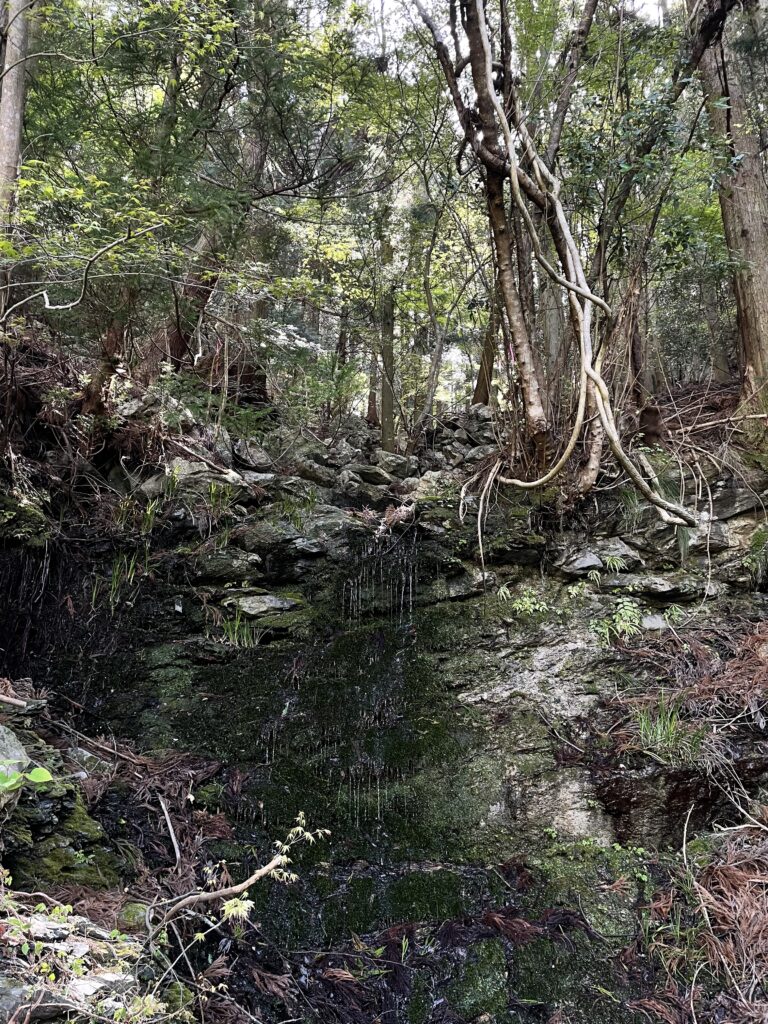 至る所で水が滴っている
