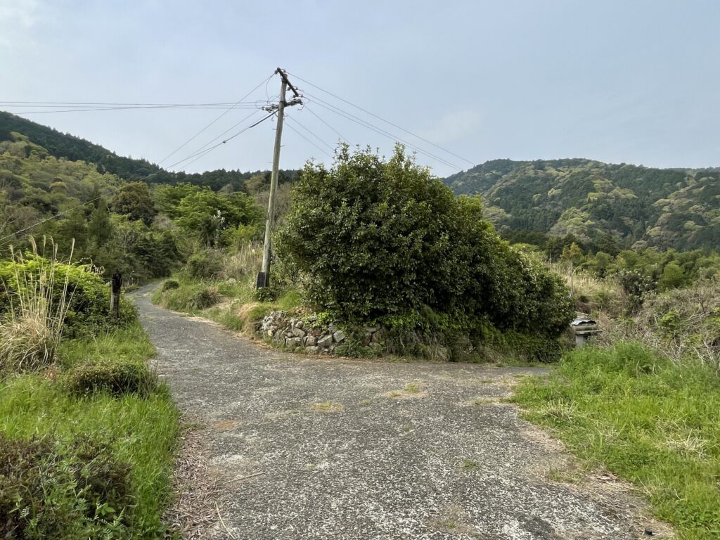 ひっそりとした道