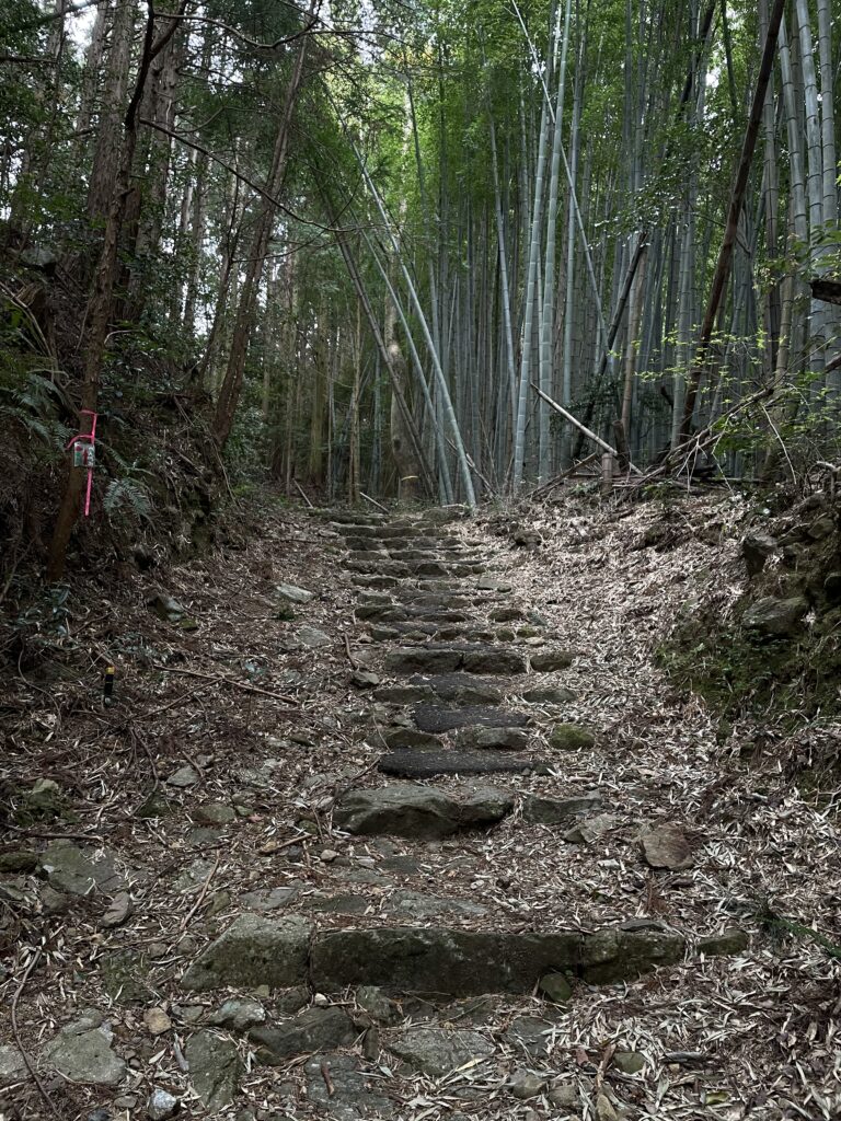 竹林と石段