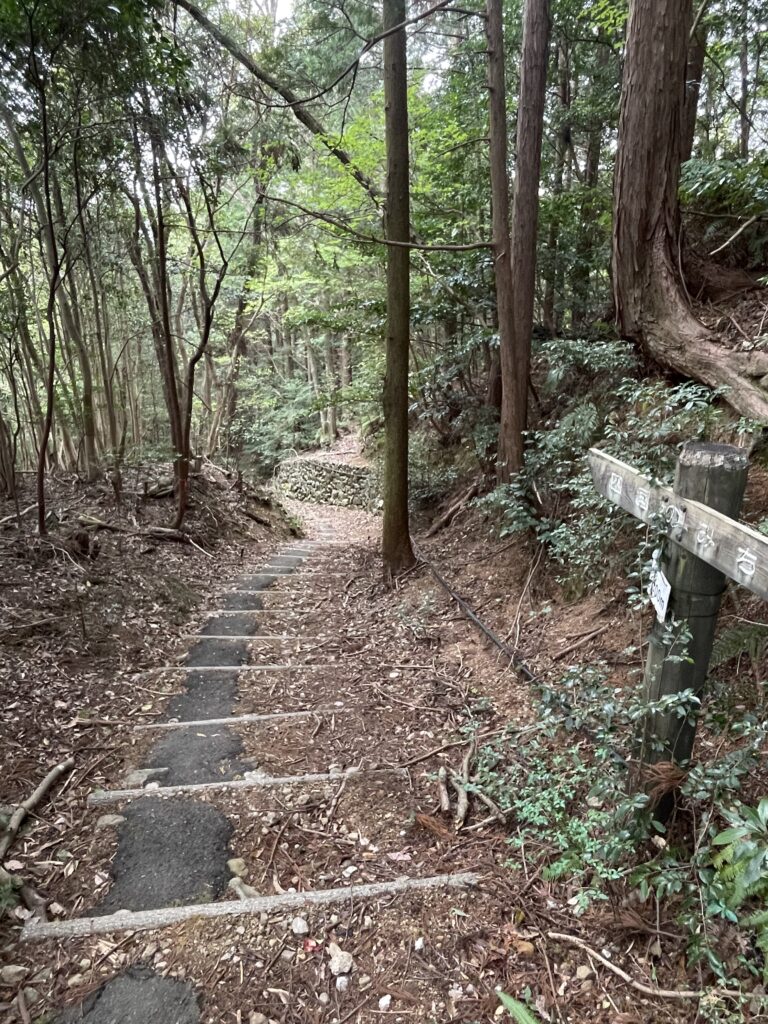 振り返って見下ろしたところ