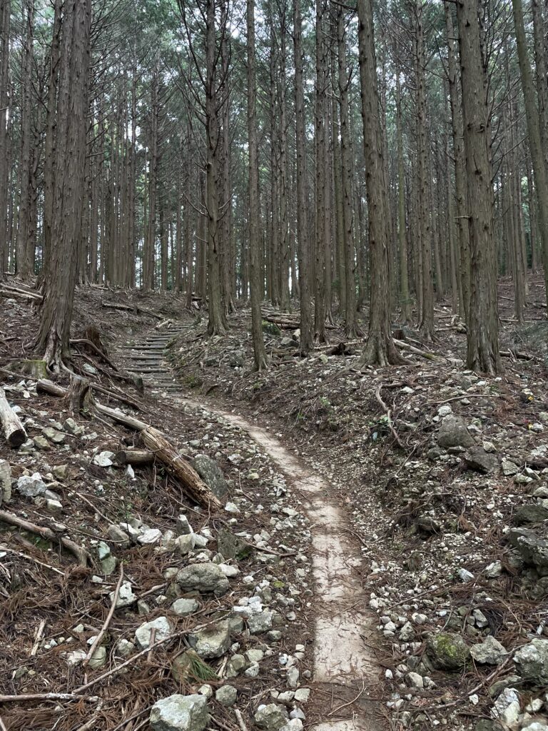 果ての見えない登り
