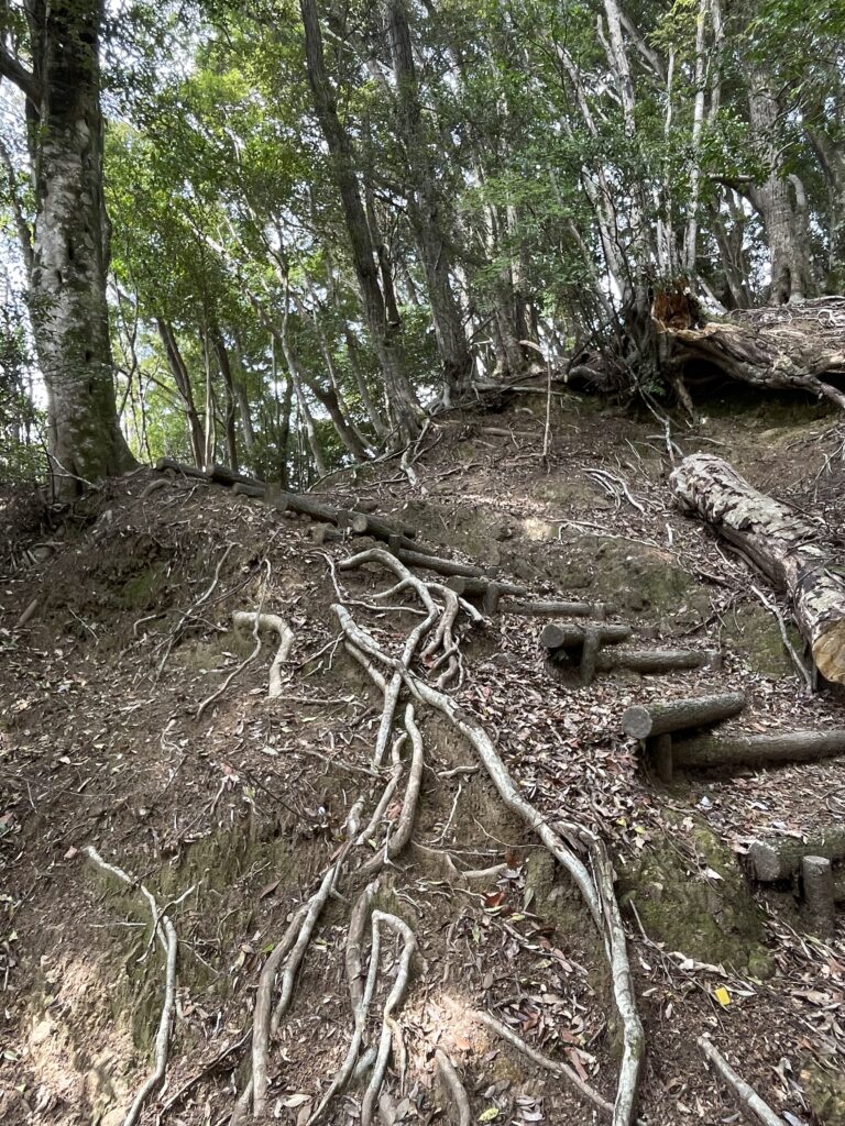 横から見ると45°
