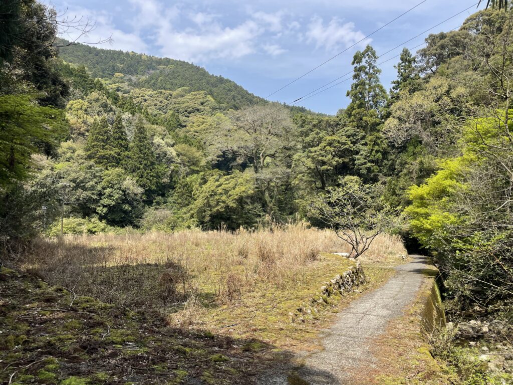 昔は家が建っていたと思われる空き地