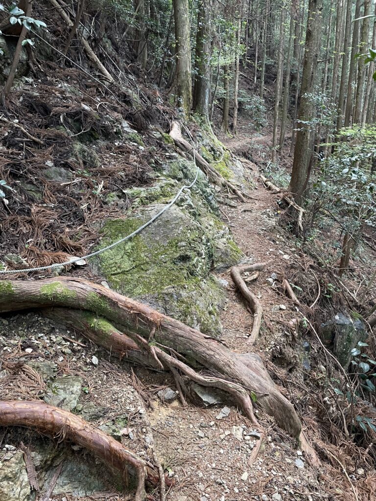 谷側に傾いている歩き道