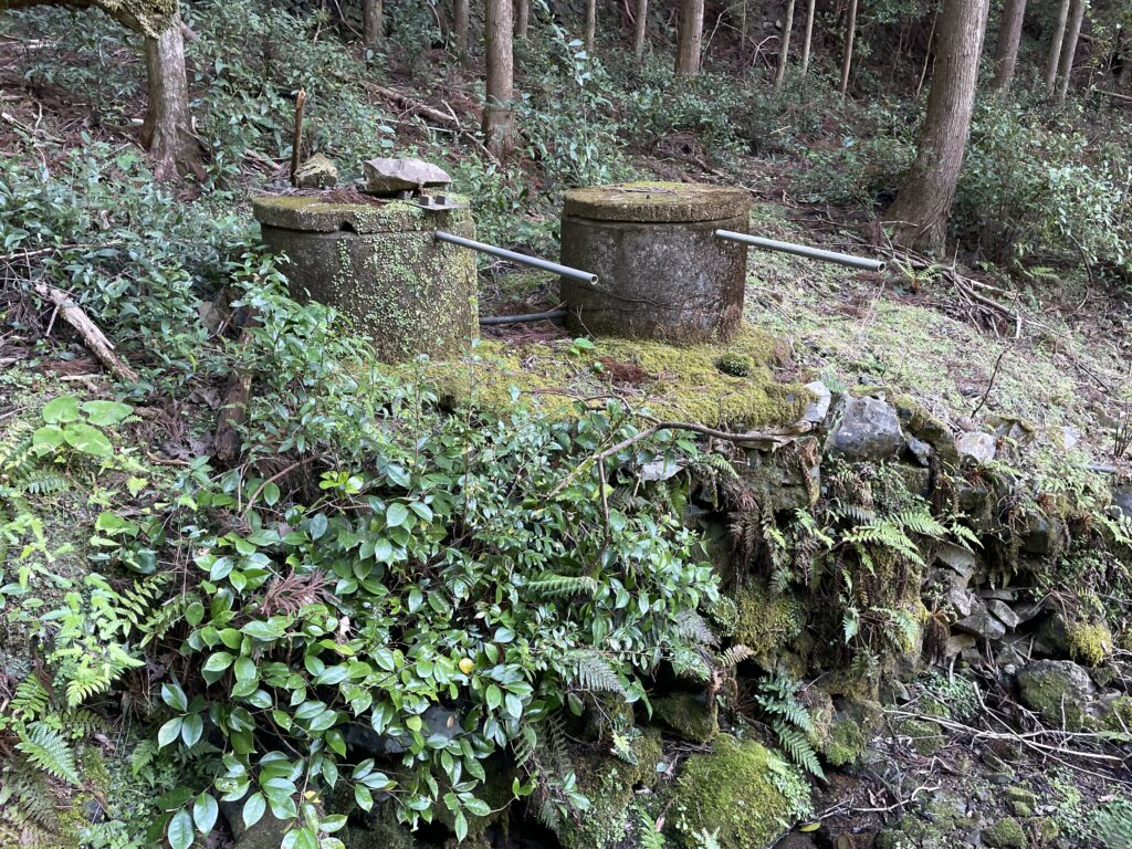 苔むした水場