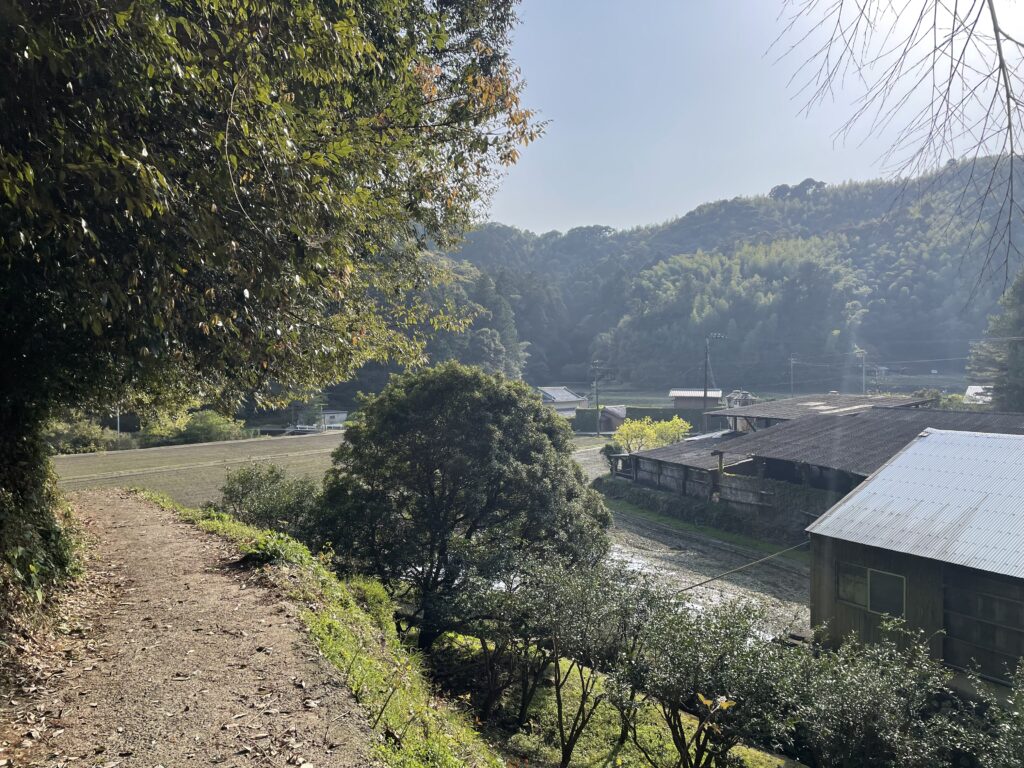 里に下りてきた