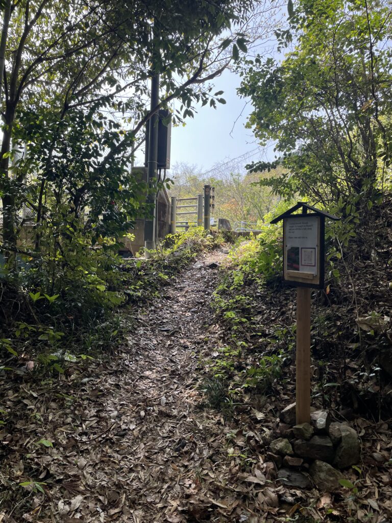 すぐ車道に出た