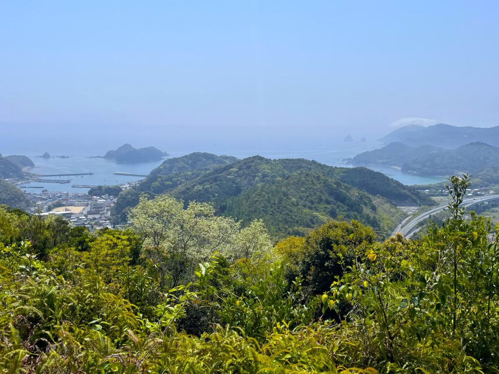 展望所からの眺望