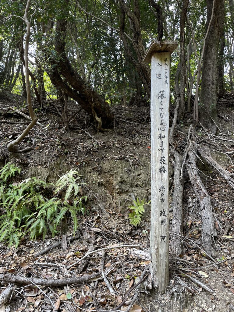 「落ちてなお心和ます藪椿」