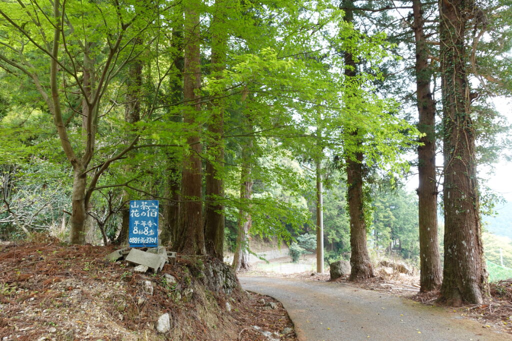 民宿「山茶花」の看板