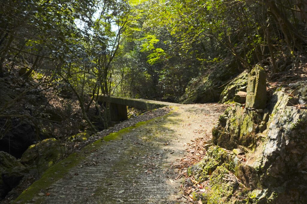 ゆるやかな上り坂