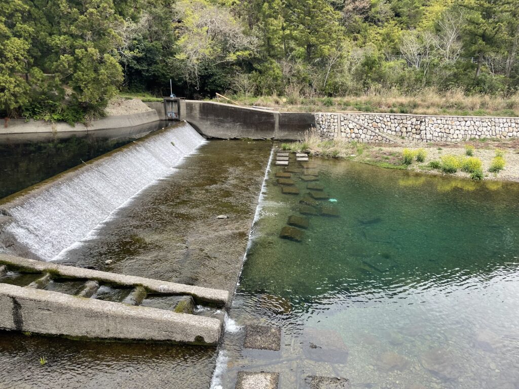 堰に溜まった水