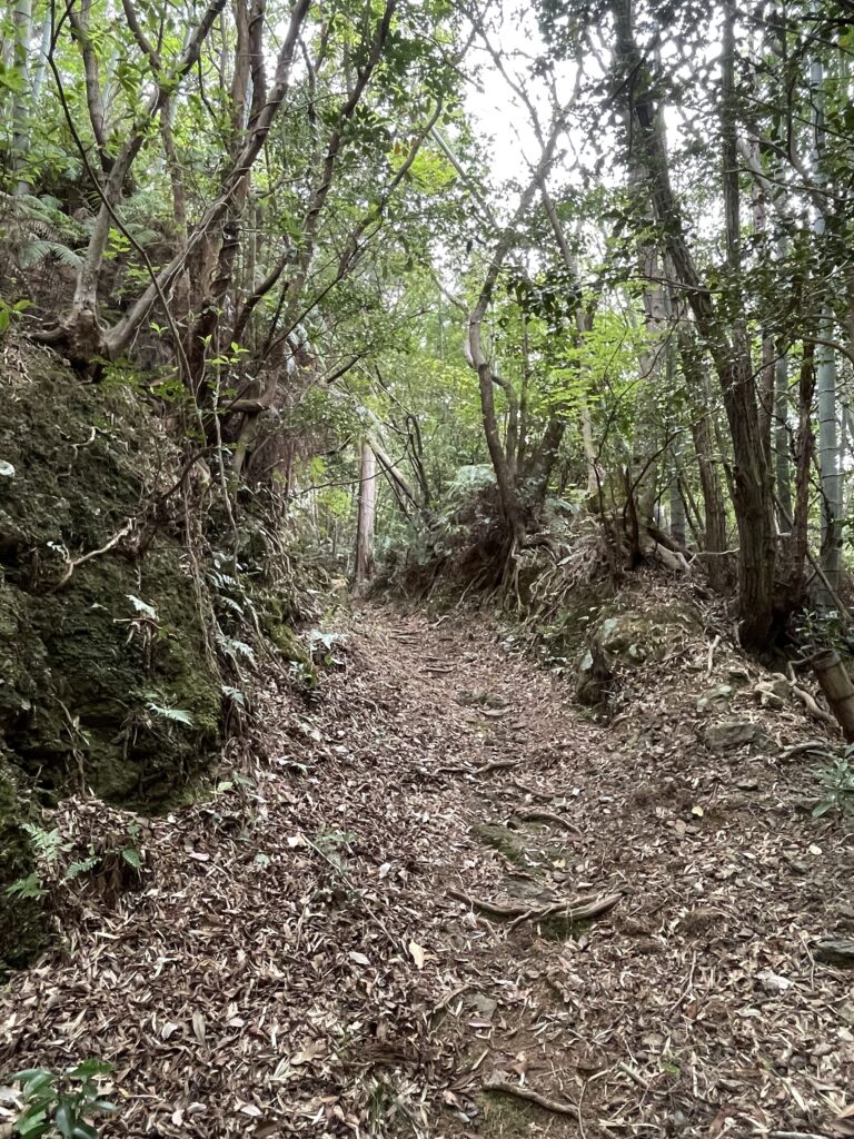 すぐに平らな道になった