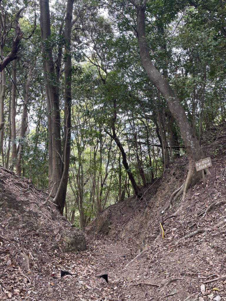 ビューポイントの案内