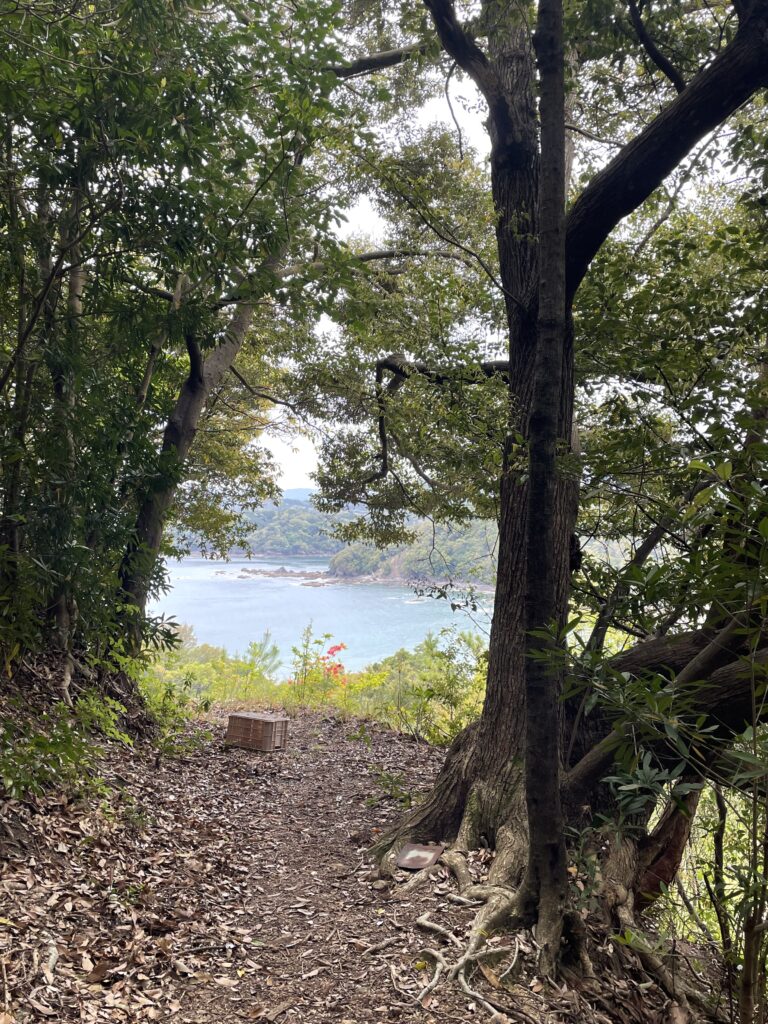 道の先に海が見える