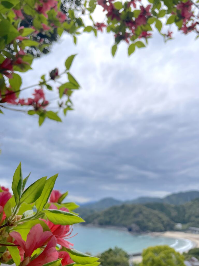 ツツジと海のコントラスト