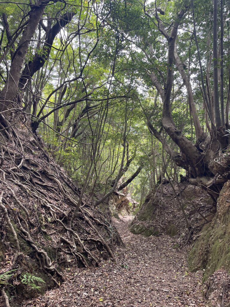 切り通しを下りていく